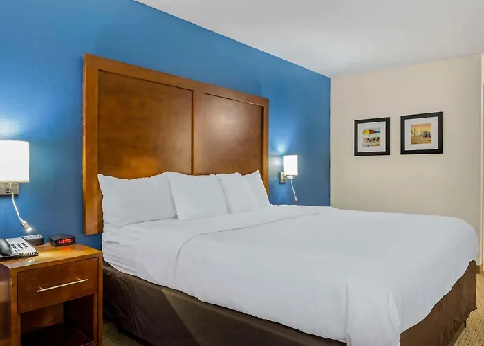 Comfort Inn Garner Clayton I-40